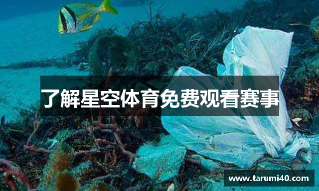 了解星空体育免费观看赛事
